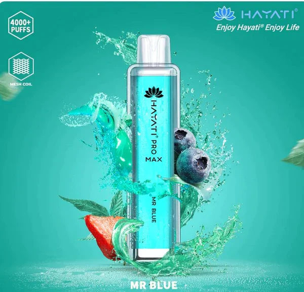 Hayati Pro Max 4000 Mr Blue Flavour